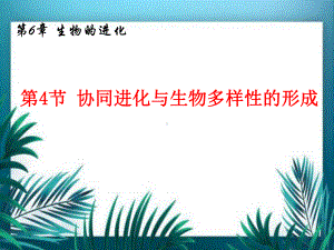 6.4协同进化与生物多样性的形成 ppt课件(8)-2023新人教版（2019）《高中生物》必修第二册.pptx