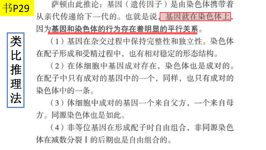 2.2基因在染色体上 ppt课件 -2023新人教版（2019）《高中生物》必修第二册.pptx_第3页