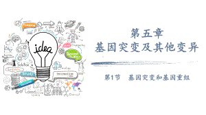 5.1 基因突变和基因重组 ppt课件(8)-2023新人教版（2019）《高中生物》必修第二册.pptx