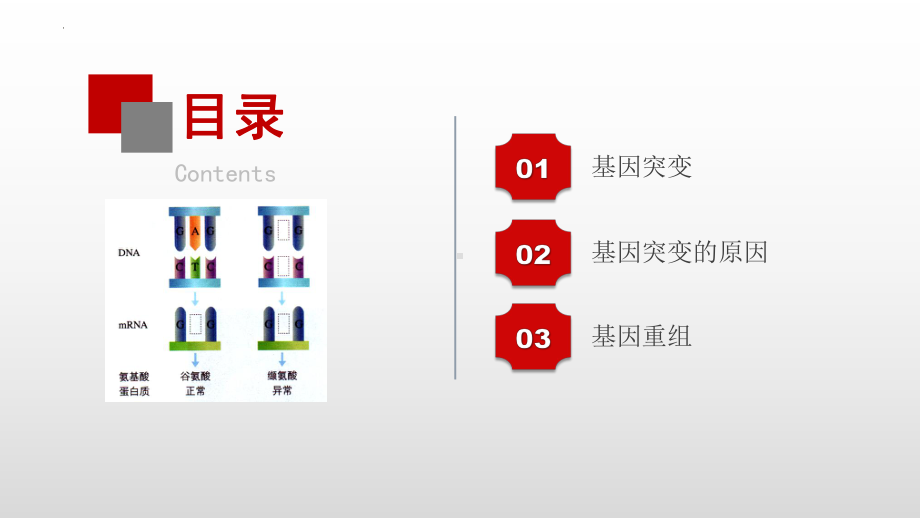 5.1基因突变和基因重组ppt课件 -2023新人教版（2019）《高中生物》必修第二册.pptx_第3页