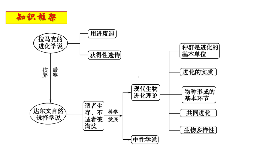 第6章 生物的进化 ppt课件-2023新人教版（2019）《高中生物》必修第二册.pptx_第2页