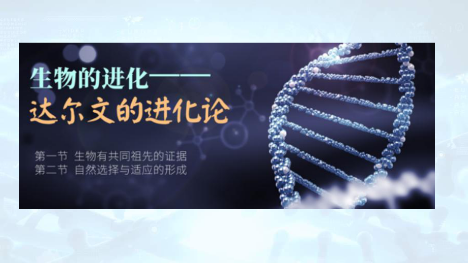 第六章第一二节达尔文的进化论 ppt课件-2023新人教版（2019）《高中生物》必修第二册.pptx_第1页