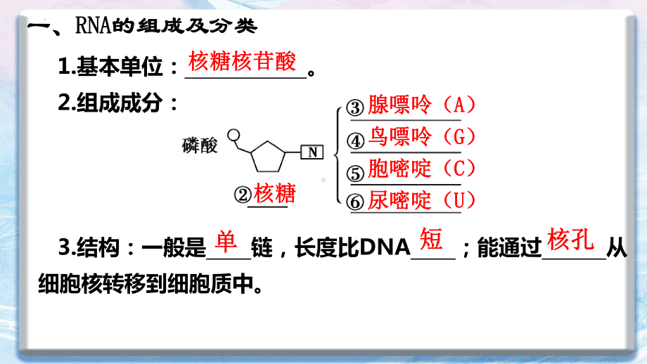 4.1基因指导蛋白质的合成 ppt课件（0002）(1)-2023新人教版（2019）《高中生物》必修第二册.pptx_第3页