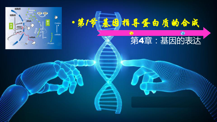 4.1基因指导蛋白质的合成 ppt课件(8)-2023新人教版（2019）《高中生物》必修第二册.pptx_第1页