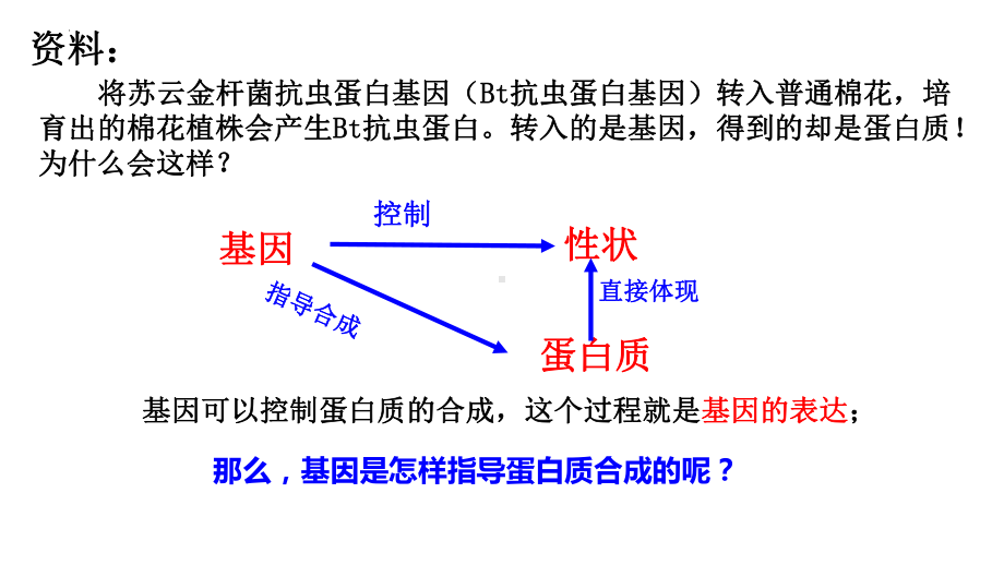 4.1基因指导蛋白质的合成 ppt课件(8)-2023新人教版（2019）《高中生物》必修第二册.pptx_第2页