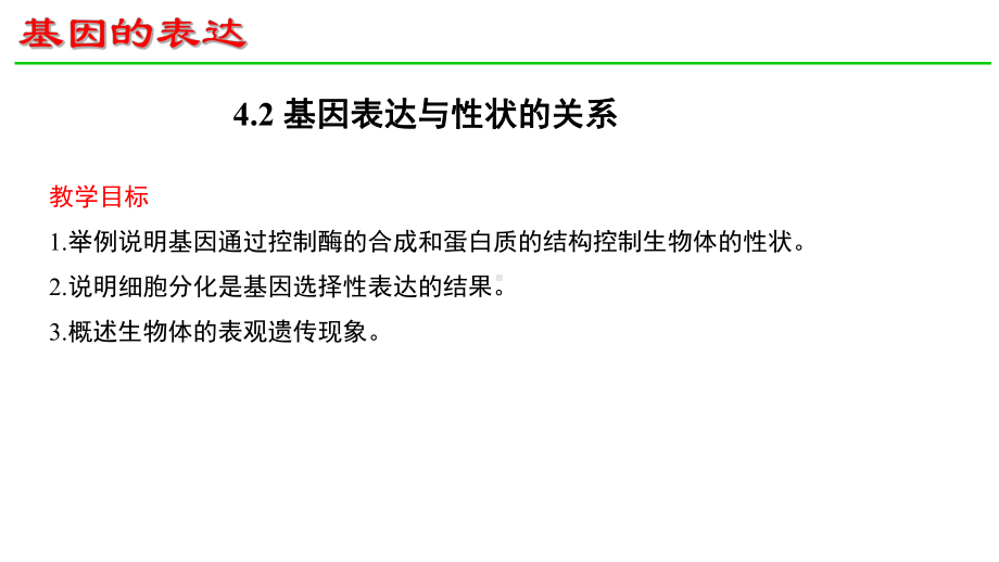 4.2基因表达与性状的关系 ppt课件(3)-2023新人教版（2019）《高中生物》必修第二册.pptx_第1页