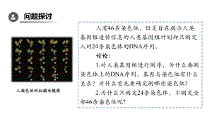 2.2基因在染色体上 ppt课件-2023新人教版（2019）《高中生物》必修第二册.pptx