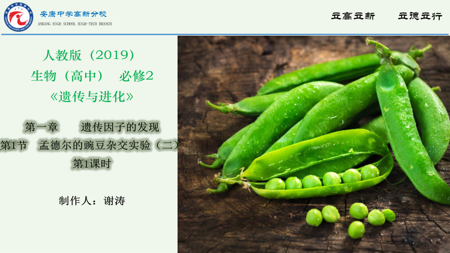 1.2 孟德尔的豌豆杂交实验（二） ppt课件（0002）-2023新人教版（2019）《高中生物》必修第二册.pptx_第1页