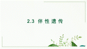 2.3伴性遗传 ppt课件(7)-2023新人教版（2019）《高中生物》必修第二册.pptx