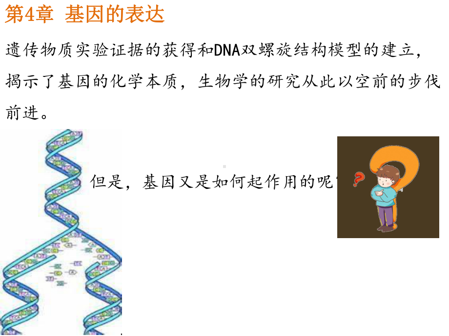 4.1基因指导蛋白质的合成 ppt课件(6)-2023新人教版（2019）《高中生物》必修第二册.pptx_第1页