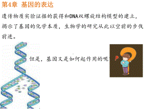 4.1基因指导蛋白质的合成 ppt课件(6)-2023新人教版（2019）《高中生物》必修第二册.pptx