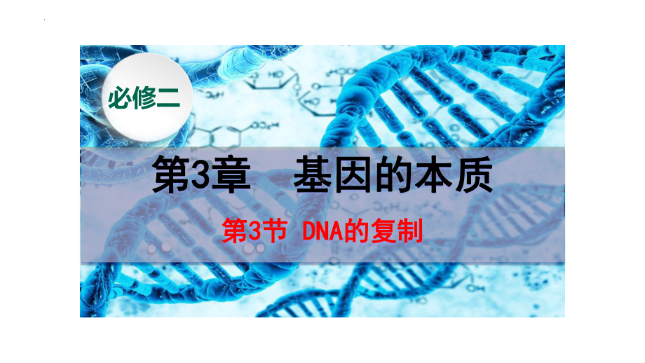 3.3DNA的复制 ppt课件(14)-2023新人教版（2019）《高中生物》必修第二册.pptx_第1页