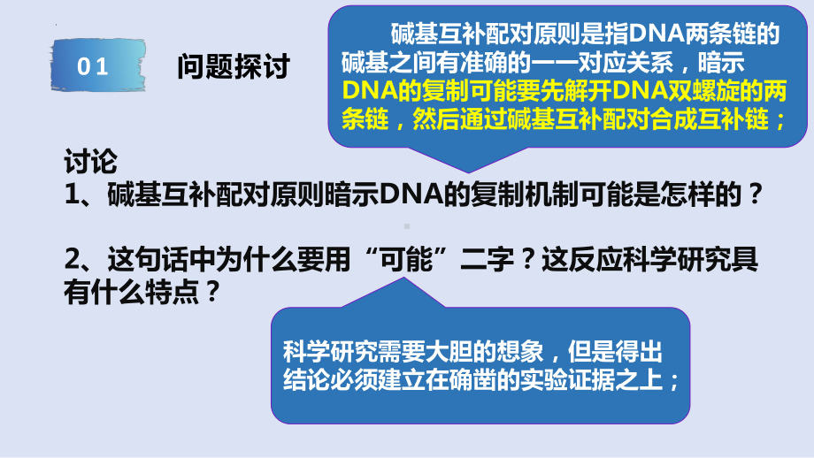 3.3DNA的复制 ppt课件(14)-2023新人教版（2019）《高中生物》必修第二册.pptx_第3页