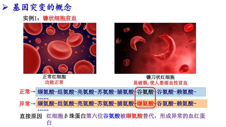 5.1基因突变和基因重组 ppt课件(7)-2023新人教版（2019）《高中生物》必修第二册.pptx_第2页