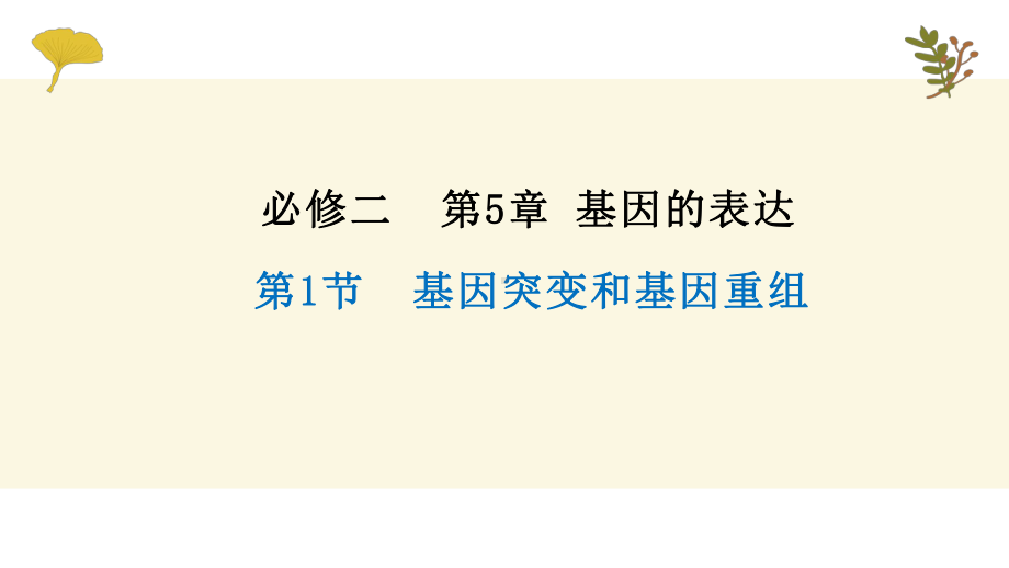 5.1基因突变和基因重组 ppt课件（0002）(2)-2023新人教版（2019）《高中生物》必修第二册.pptx_第2页