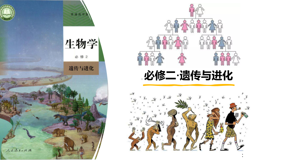 1.1孟德尔的豌豆杂交实验（一） ppt课件(10)-2023新人教版（2019）《高中生物》必修第二册.pptx_第1页