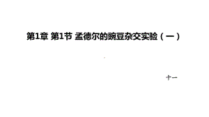 1.1孟德尔的豌豆杂交实验（一） ppt课件(5)-2023新人教版（2019）《高中生物》必修第二册.pptx