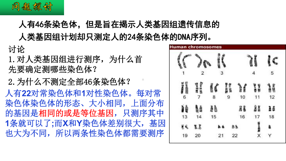 2.2基因在染色体上 ppt课件（0002）-2023新人教版（2019）《高中生物》必修第二册.pptx_第2页