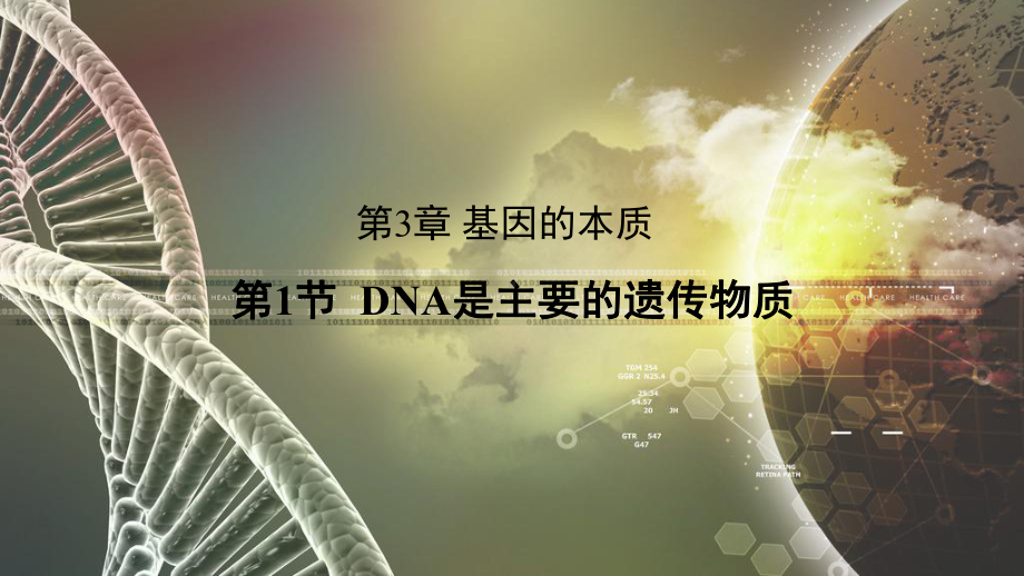 3.1 DNA是主要的遗传物质 ppt课件(2)-2023新人教版（2019）《高中生物》必修第二册.pptx_第1页