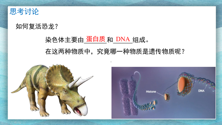 3.1 DNA是主要的遗传物质 ppt课件(2)-2023新人教版（2019）《高中生物》必修第二册.pptx_第2页