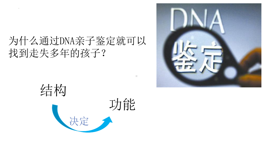 3.2DNA的结构 ppt课件-2023新人教版（2019）《高中生物》必修第二册.pptx_第1页