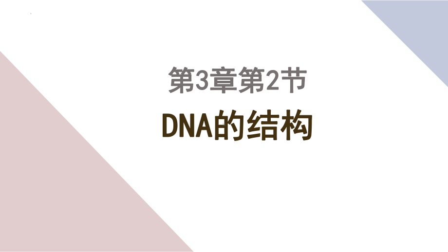 3.2DNA的结构 ppt课件-2023新人教版（2019）《高中生物》必修第二册.pptx_第2页