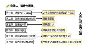 1.1孟德尔的豌豆杂交实验（一） ppt课件（0002）(5)-2023新人教版（2019）《高中生物》必修第二册.pptx