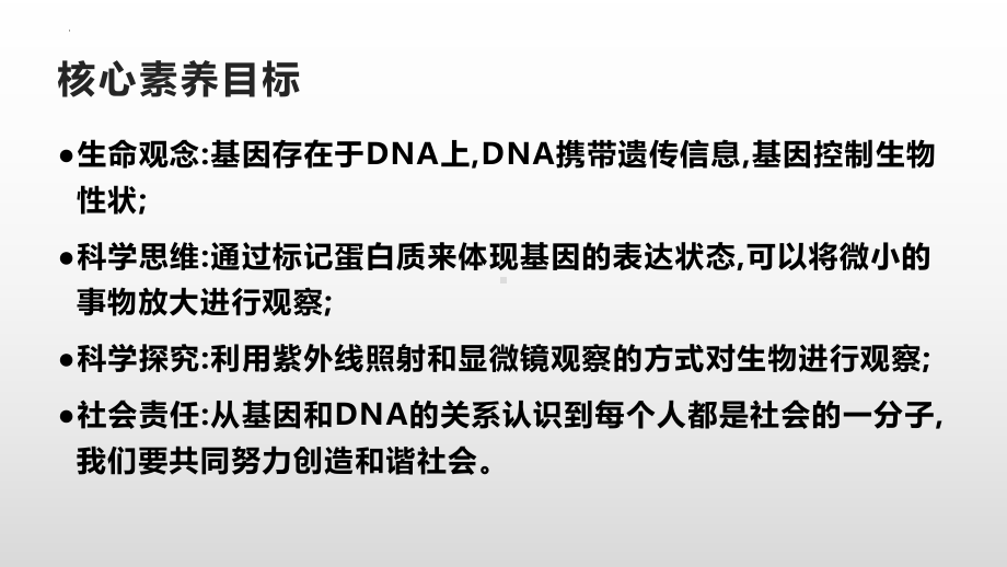 3.4基因通常是有遗传效应的DNA片段 ppt课件-2023新人教版（2019）《高中生物》必修第二册.pptx_第2页