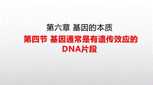 3.4基因通常是有遗传效应的DNA片段 ppt课件-2023新人教版（2019）《高中生物》必修第二册.pptx