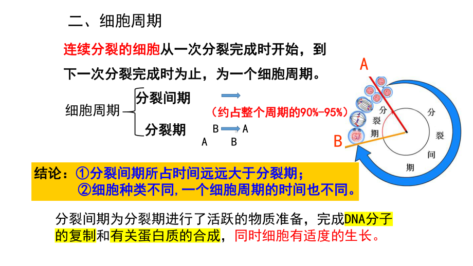 有丝分裂、减数分裂和受精作用复习 ppt课件-2023新人教版（2019）《高中生物》必修第二册.pptx_第3页