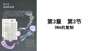 3.3DNA的复制 ppt课件 -2023新人教版（2019）《高中生物》必修第二册.pptx