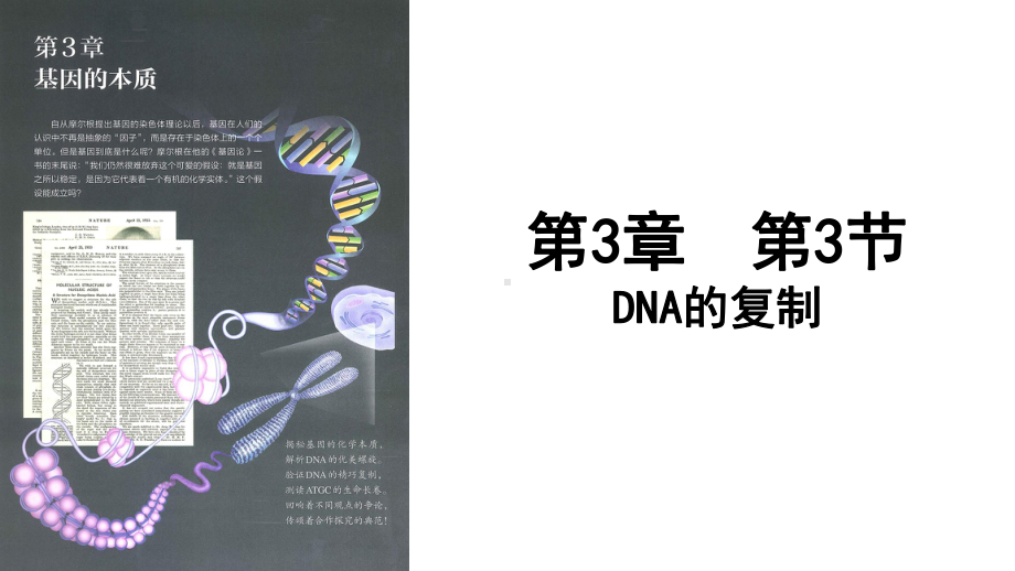 3.3DNA的复制 ppt课件 -2023新人教版（2019）《高中生物》必修第二册.pptx_第1页