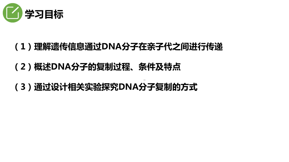 3.3DNA的复制 ppt课件 -2023新人教版（2019）《高中生物》必修第二册.pptx_第2页