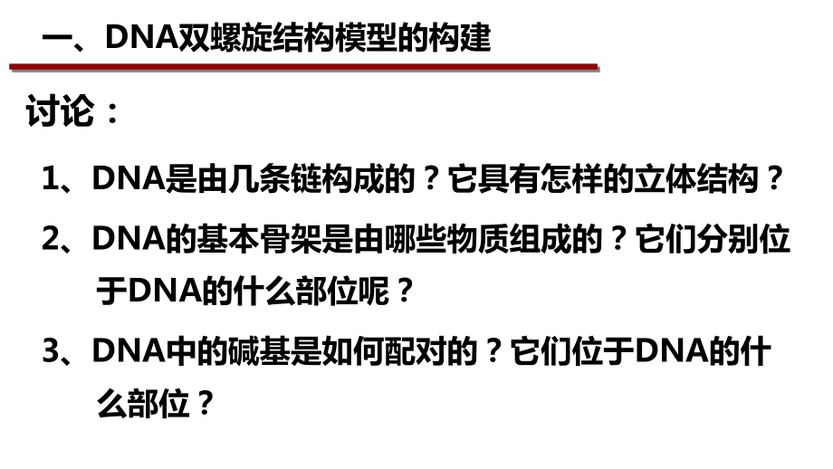 3.2DNA的结构 ppt课件(13)-2023新人教版（2019）《高中生物》必修第二册.pptx_第3页