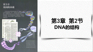 3.2DNA的结构 ppt课件(13)-2023新人教版（2019）《高中生物》必修第二册.pptx