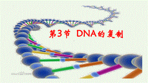 3.3DNA的复制 ppt课件(5)-2023新人教版（2019）《高中生物》必修第二册.pptx