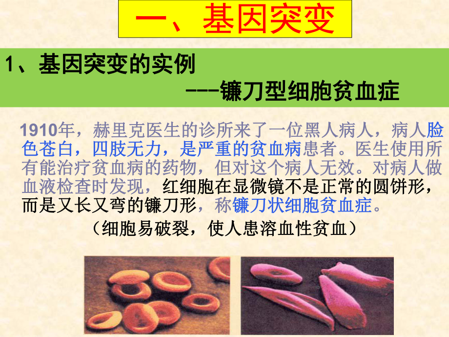 5.1基因突变和基因重组 ppt课件 (2)-2023新人教版（2019）《高中生物》必修第二册.pptx_第3页