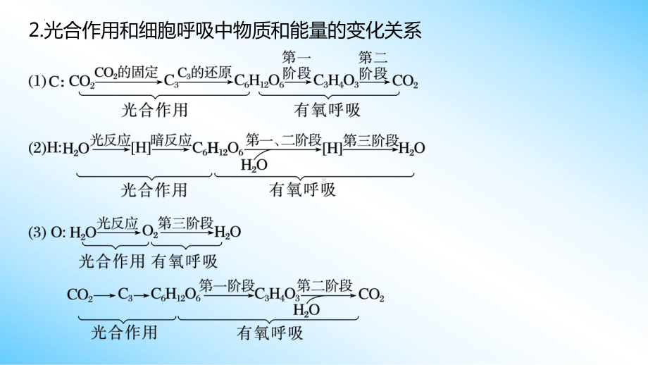 二轮复习专题突破：3-2 光合作用和细胞呼吸的过程 ppt课件-2023新人教版（2019）《高中生物》必修第二册.pptx_第3页