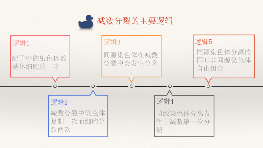 2.1.1深度理解减数分裂 ppt课件-2023新人教版（2019）《高中生物》必修第二册.pptx_第2页