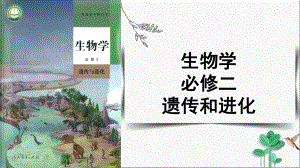 4.2基因表达与性状的关系 ppt课件(11)-2023新人教版（2019）《高中生物》必修第二册.pptx