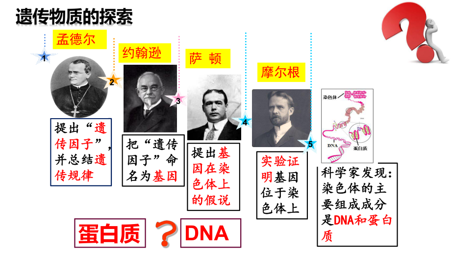 3.1DNA是主要的遗传物质 ppt课件-2023新人教版（2019）《高中生物》必修第二册.pptx_第3页