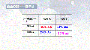 6.3种群基因组成的变化与物种的形成 ppt课件 -2023新人教版（2019）《高中生物》必修第二册.pptx