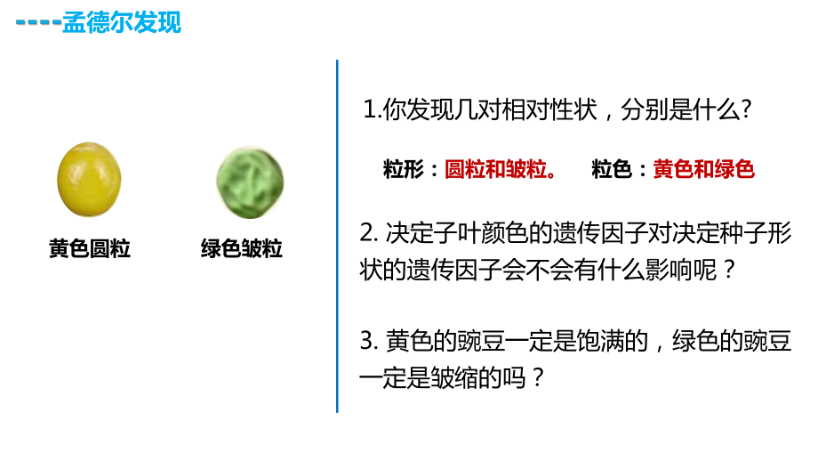 1.2孟德尔的豌豆杂交实验(二) ppt课件-2023新人教版（2019）《高中生物》必修第二册.pptx_第3页