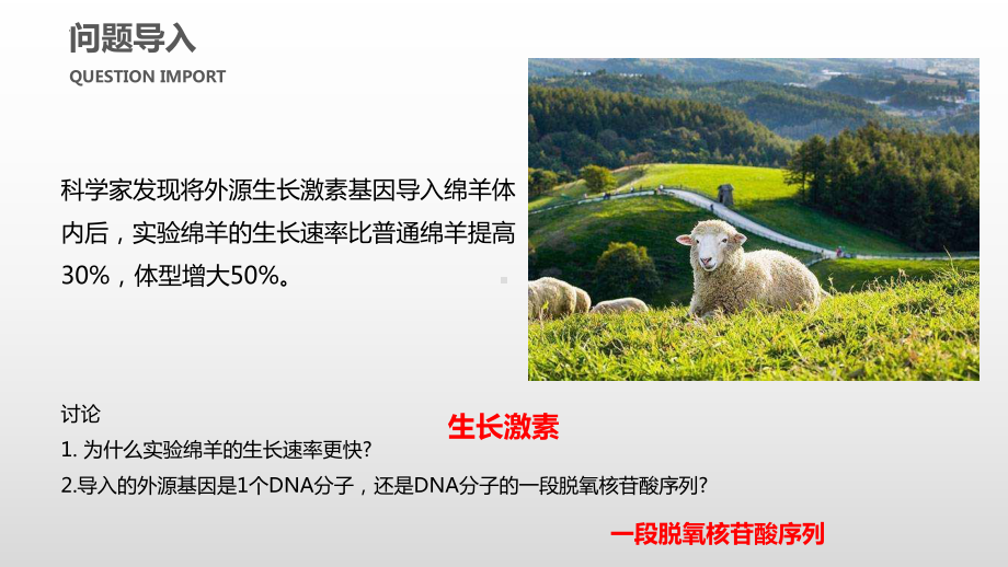 3.4基因通常是有遗传效应的DNA片段 ppt课件（0002）(2)-2023新人教版（2019）《高中生物》必修第二册.pptx_第3页