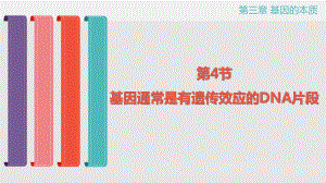 3.4 基因通常是有遗传效应的DNA片段 ppt课件(4)-2023新人教版（2019）《高中生物》必修第二册.pptx