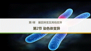 5.2 染色体变异 ppt课件 -2023新人教版（2019）《高中生物》必修第二册.pptx