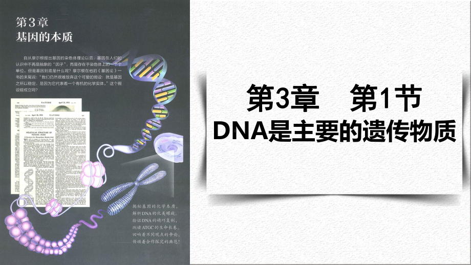 第1节 DNA是主要遗传物质 ppt课件-2023新人教版（2019）《高中生物》必修第二册.pptx_第1页