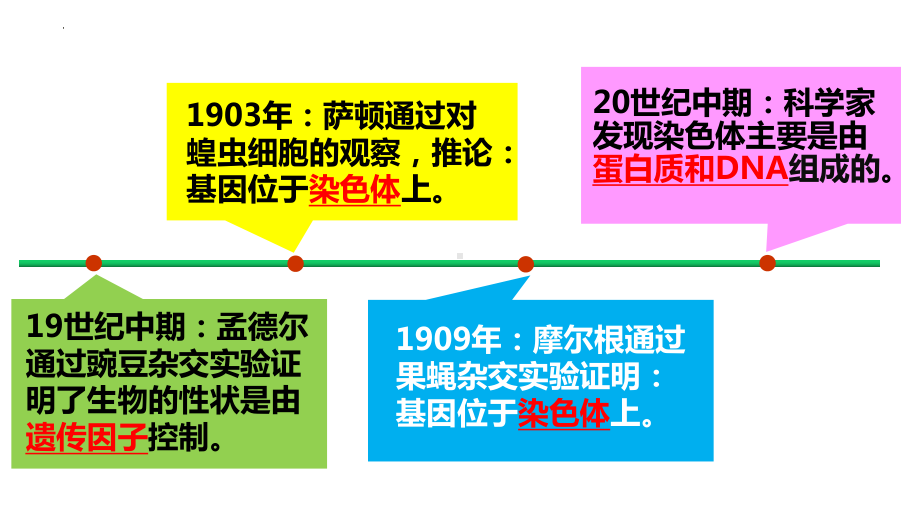 第1节 DNA是主要遗传物质 ppt课件-2023新人教版（2019）《高中生物》必修第二册.pptx_第2页