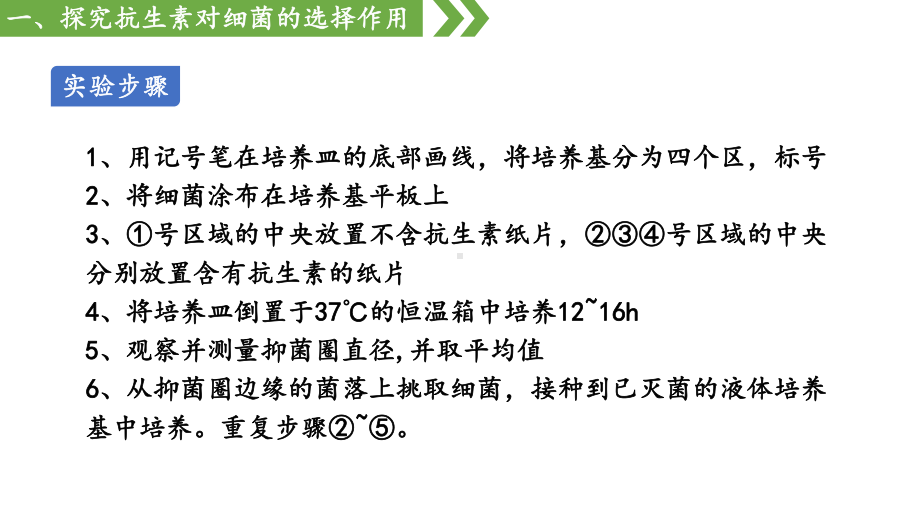 6.3.2 隔离在物种形成中的作用ppt课件 -2023新人教版（2019）《高中生物》必修第二册.pptx_第3页