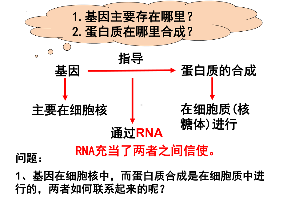 4.1基因指导蛋白质的合成 ppt课件(3)-2023新人教版（2019）《高中生物》必修第二册.pptx_第3页